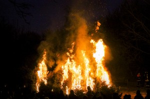 verbrennenWeihnachtsbäume (234)