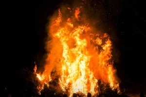 verbrennenWeihnachtsbäume (255)