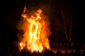 verbrennenWeihnachtsbäume (259)