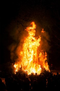 verbrennenWeihnachtsbäume (261)