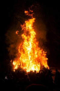 verbrennenWeihnachtsbäume (265)
